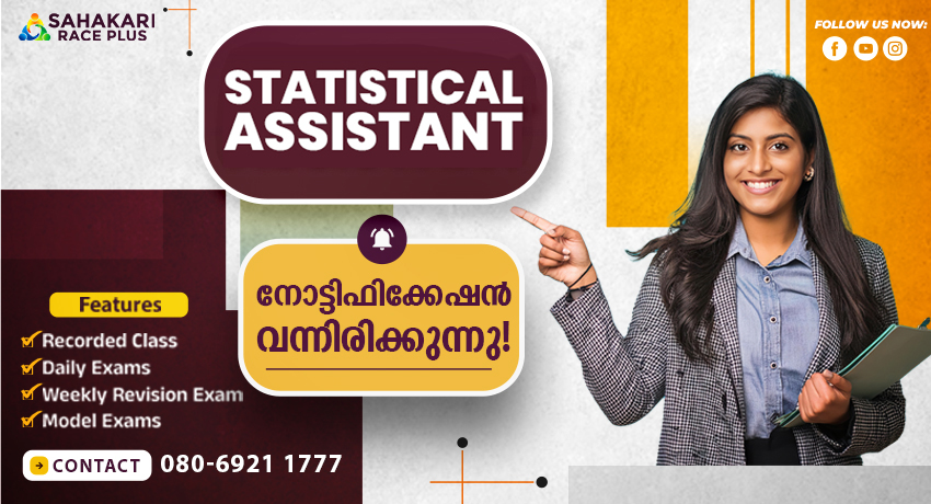 statistical-assistant